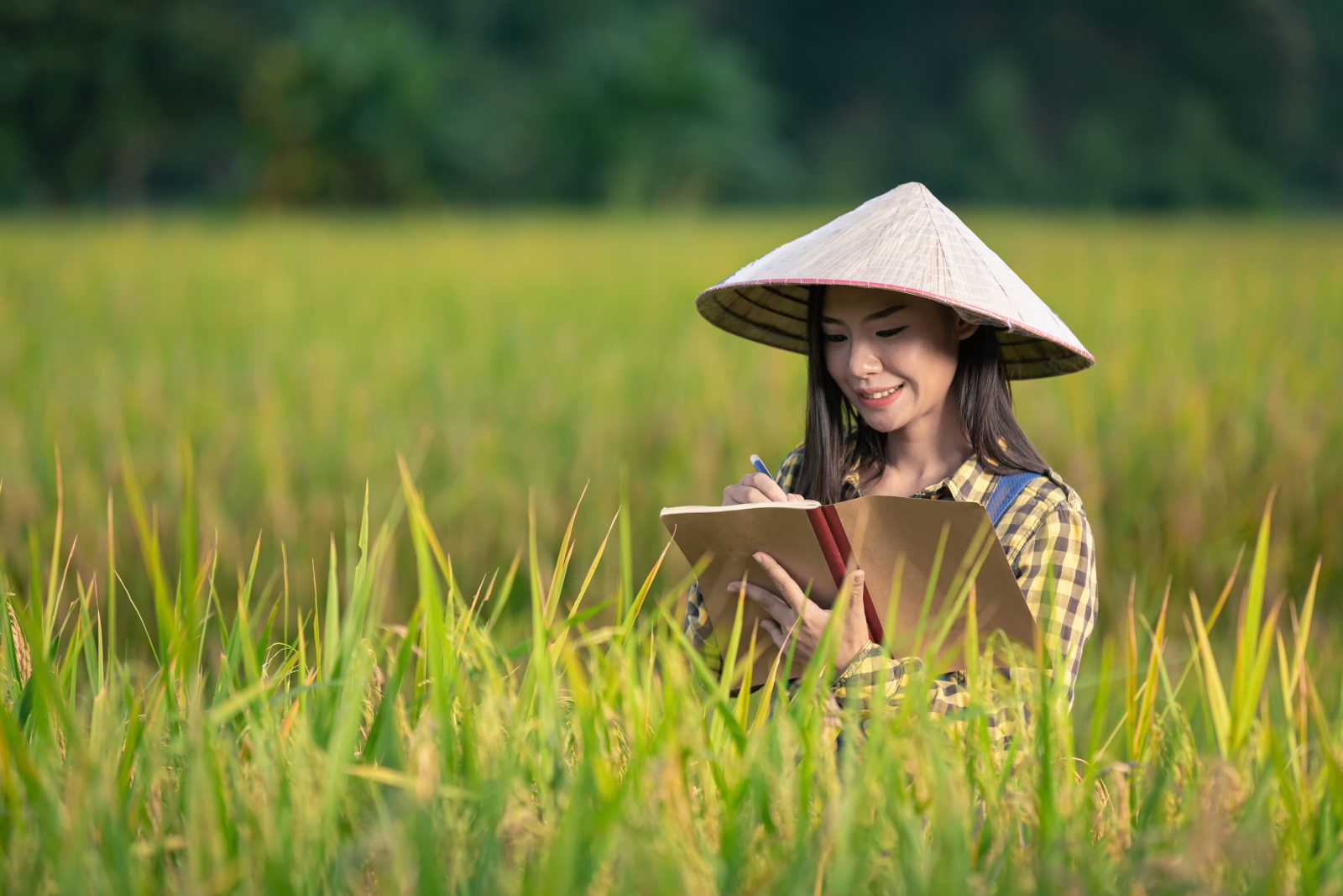 Bài mẫu IELTS Speaking Part 1 Hometown