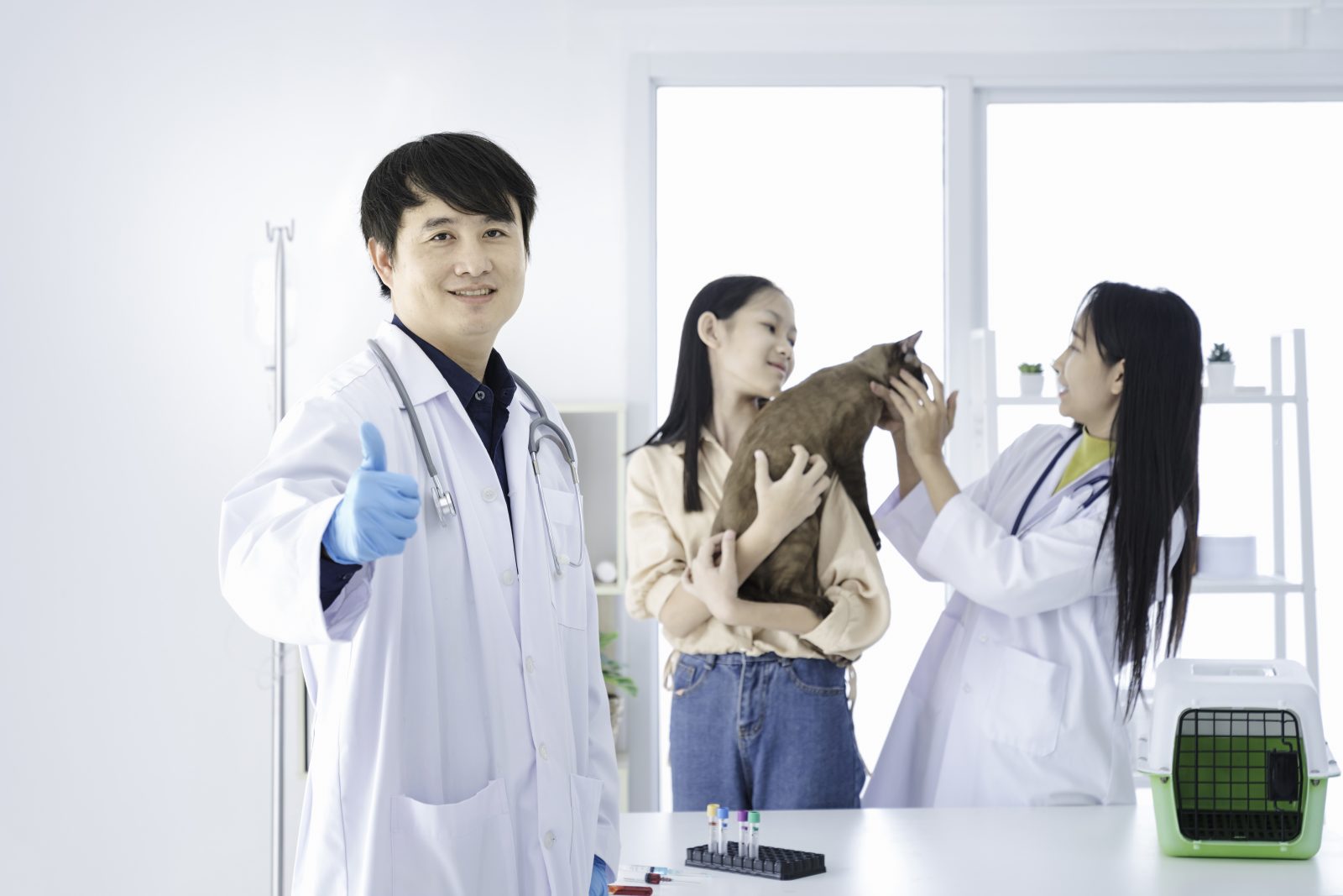 Mẫu câu giao tiếp trong ngành Thú y