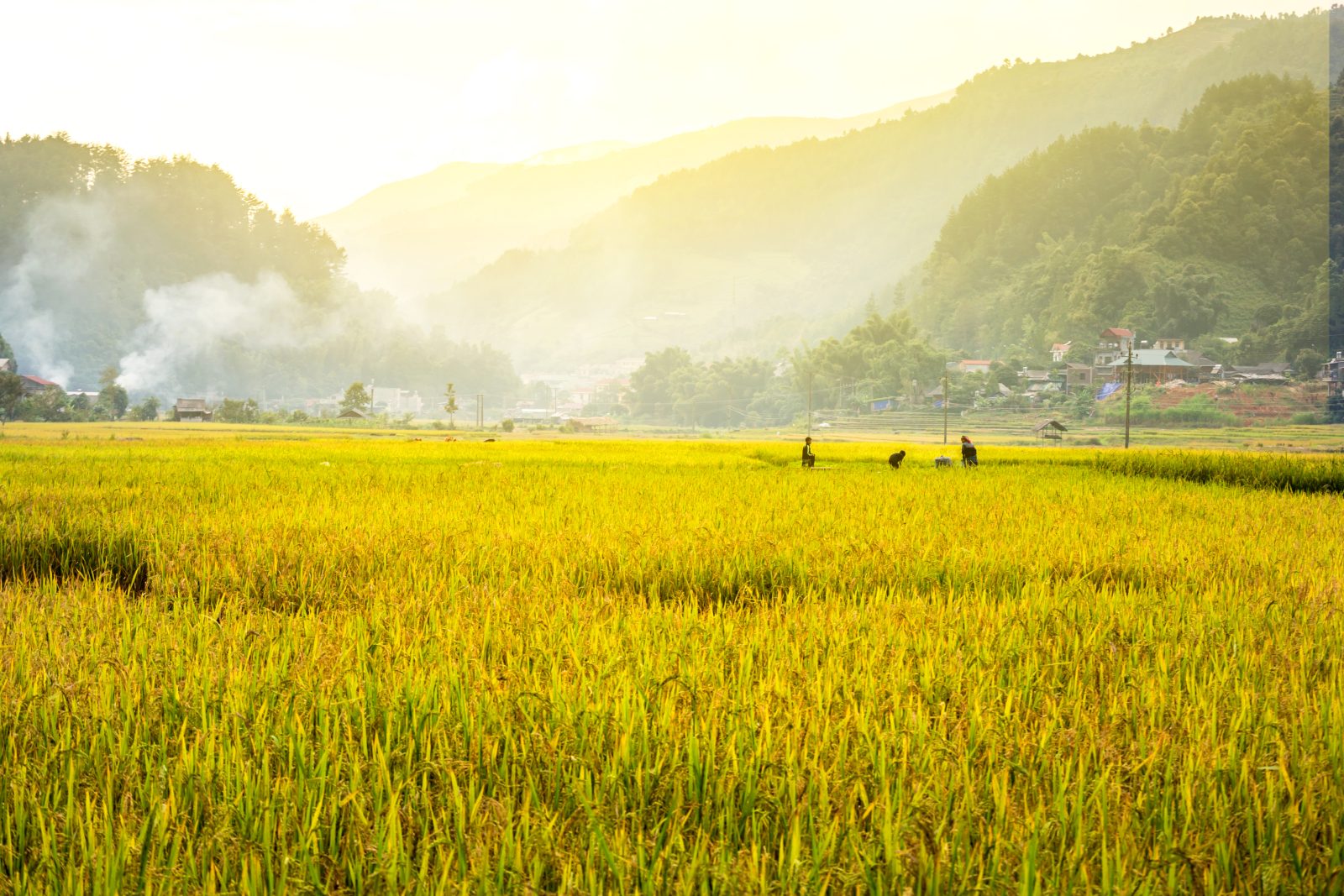 Từ vựng IELTS Speaking Part 1 Hometown